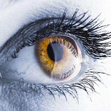 Picture of an eye