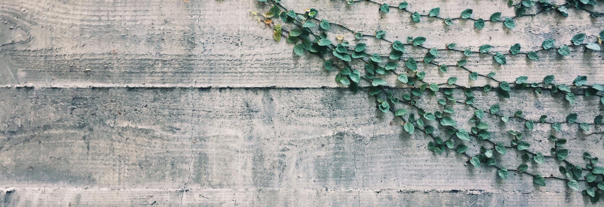wooden wall