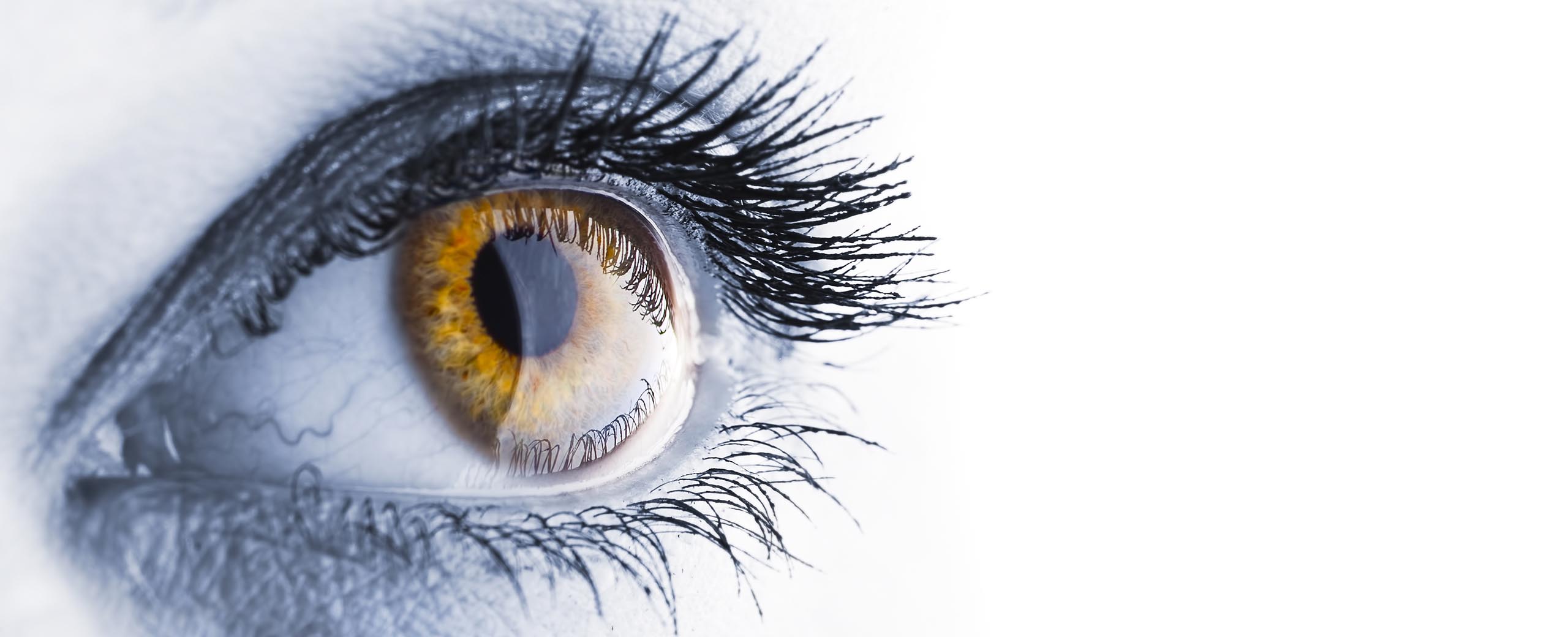 picture of an eye